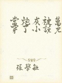 当炮灰被万人迷穿了小说免费阅读