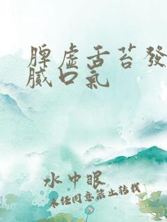 脾虚舌苔发黄厚腻口气