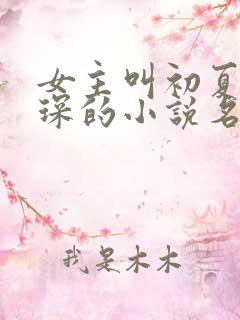 女主叫初夏顾霆琛的小说名字