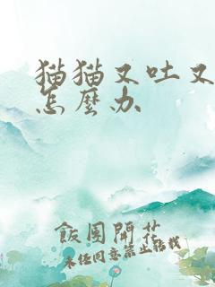 猫猫又吐又拉稀怎么办