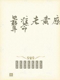 最准老黄历八字算命