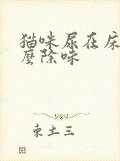 猫咪尿在床上怎么除味