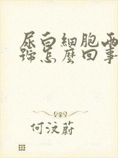 尿白细胞两个加号怎么回事