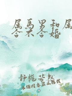 属马男和属龙女合不合婚