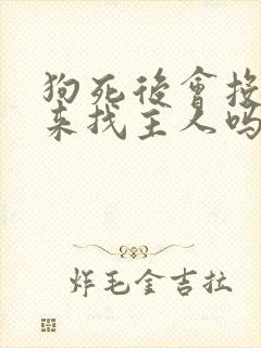 狗死后会投胎回来找主人吗?