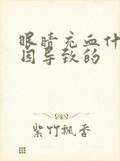 眼睛充血什么原因导致的