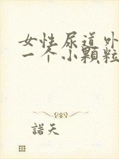 女性尿道外口有一个小颗粒