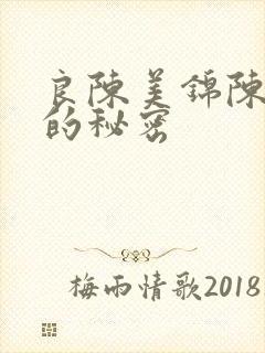 良陈美锦陈玄越的秘密