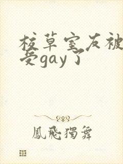 校草室友被清冷受gay了