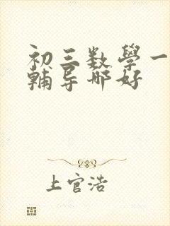 初三数学一对一辅导哪好