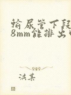 输尿管下段结石8mm能排出吗