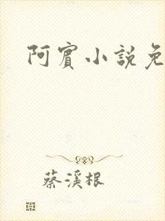 阿宾小说免费