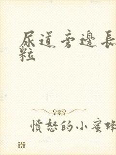 尿道旁边长小肉粒