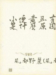 小便黄且有泡沫是什么原因