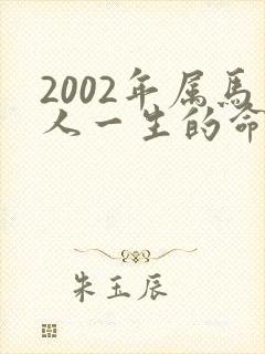 2002年属马人一生的命运