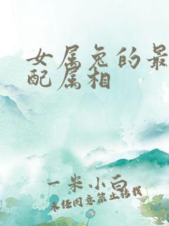 女属兔的最佳婚配属相