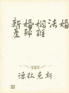 新婚姻法婚前财产归谁