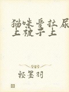 猫咪爱拉尿在床上被子上