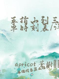 五指山到三亚汽车时刻表/汽车票查询