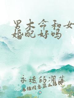 男木命和女金命婚配好吗