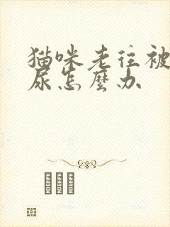 猫咪老往被子上尿怎么办