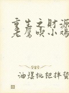 重生之财源滚滚老鹰吃小鸡著
