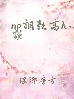 np调教高h小说