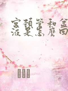 宫颈管和盆腔积液是怎么回事