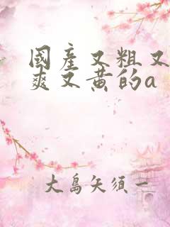 国产又粗又猛又爽又黄的a