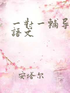 一对一辅导高三语文