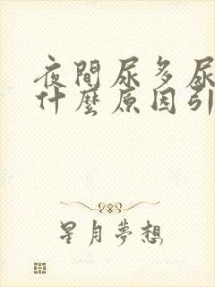 夜间尿多尿频是什么原因引起的