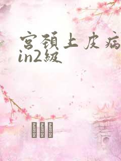 宫颈上皮病变cin2级