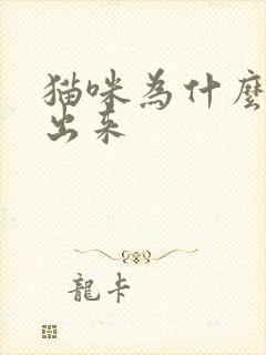 猫咪为什么漏尿出来