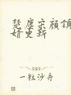 楚尘宋颜镇国神婿更新