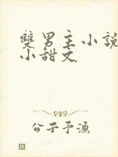 双男主小说推荐小甜文