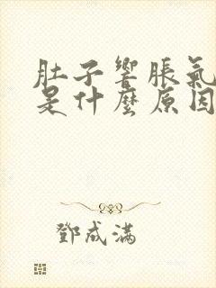 肚子响胀气屁多是什么原因