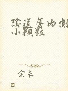 阴道唇内侧长了小颗粒