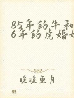 85年的牛和86年的虎婚姻怎样
