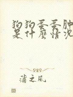 狗狗蛋蛋肿大疼是什么情况