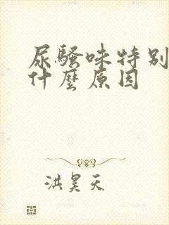 尿骚味特别大是什么原因