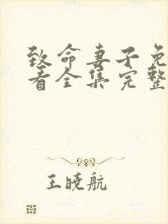 致命妻子免费观看全集完整版