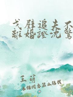 戈壁追夫不是讨离婚证沈惊寒林纾容在线阅