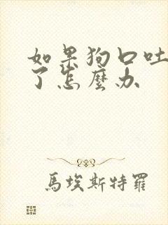 如果狗口吐白沫了怎么办