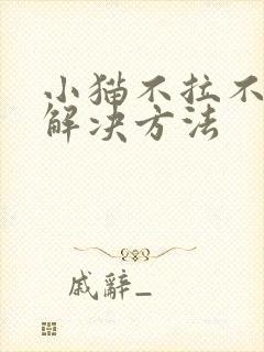 小猫不拉不尿的解决方法