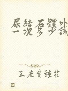 尿结石体外碎石一次多少钱