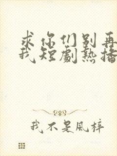 求你们别再说爱我短剧热播