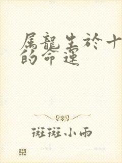 属龙生于十一月的命运