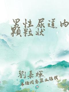 男性尿道内白色颗粒状