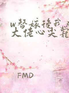 w替嫁后我成了大佬心尖宠》