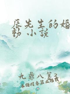 辰先生的婚然心动 小说